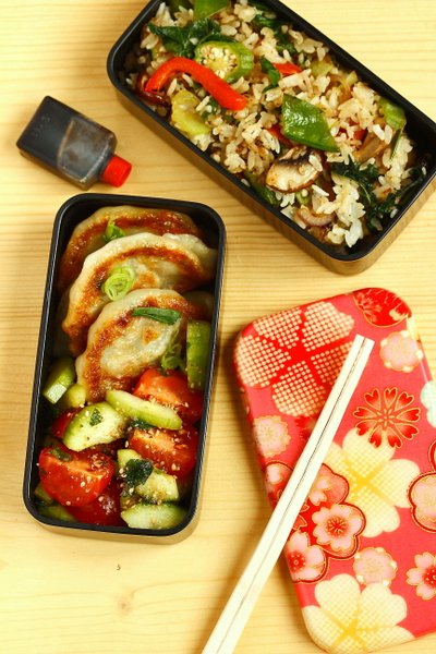 bento-gyoza_8